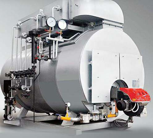 燃气锅炉专业制造厂家 燃气锅炉厂家-海口凌峰运动健康管理有限公司